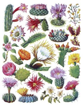 Summertime Plant Art