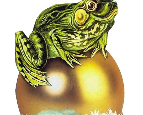 5 For Friday July 22 | Frog Prince