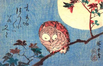 Hiroshigeowl - web