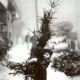 Little Boy with Christmas Tree