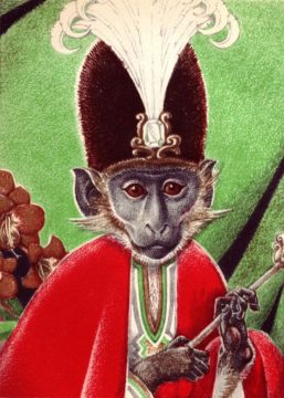 5 For Friday June 24 | Monkey Lathrop