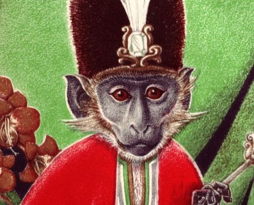5 For Friday June 24 | Monkey Lathrop