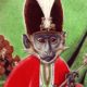 5 For Friday June 24 | Monkey Lathrop
