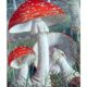 Wednesday Reader March 8 | Amanita Muscaria