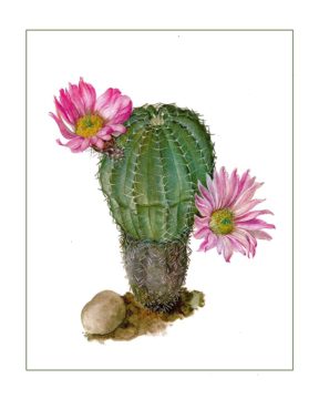 Summertime Plant Art