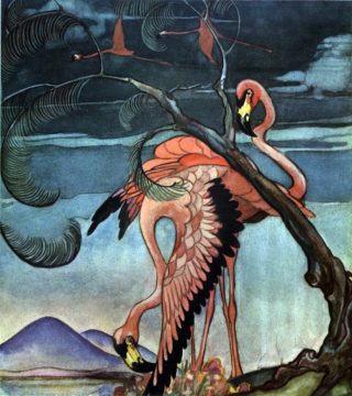 flamingosDD - web Wednesday Reader August 31 | Flamingos