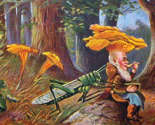 Mushroom Head Gnome