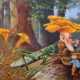 Mushroom Head Gnome