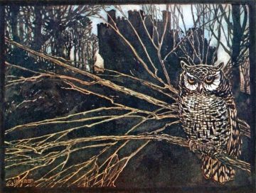 Wednesday Reader October 18 | Owl Web