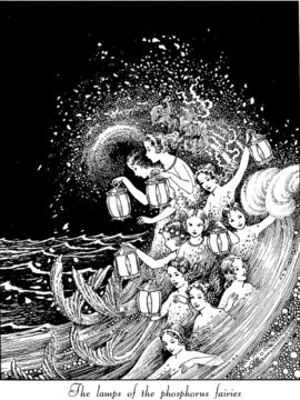 phosphorusfairiesDD(1) - web Wednesday Reader August 17 2022