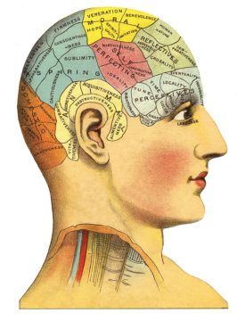 phrenology(1) - web 5 For Friday August 11