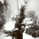 Christmas Season | Top of the Morning December 5