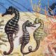 Sea Horses Antique Illustration