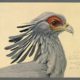 Trippy Trivia from Leslie Elman
