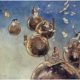 The Ship That Sailed to Mars
