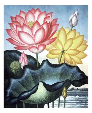 Flower Artwork