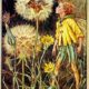 Wednesday Reader November 9