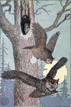 owlsflying - web2 Wednesday Reader Nov 8