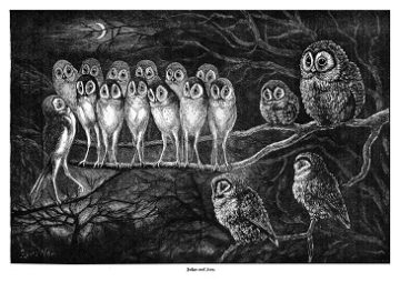 wayneowls - web Humorous and Heartfelt Stories from Syndicated Writers