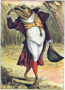 Wednesday Reader September 21 | Well Dressed Trout