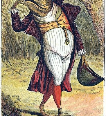 Wednesday Reader September 21 | Well Dressed Trout