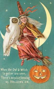 whiteowlwitch7DD - web White owl witch