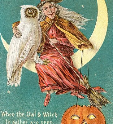 White owl witch