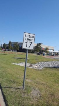 5 For Friday June 24