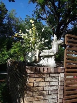 Burro Planter