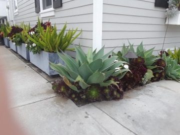 flowerpot12 - web