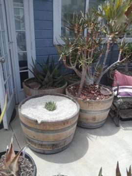 flowerpot18 - web