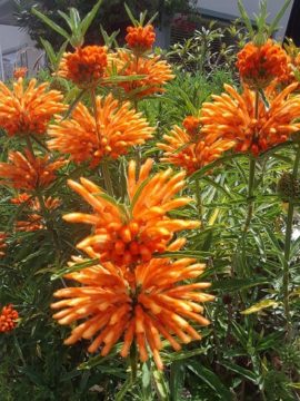5 For Friday July 22 2022