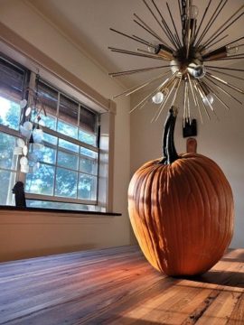 pumpkim1 - web Cool Pumpkin With a Long Stem