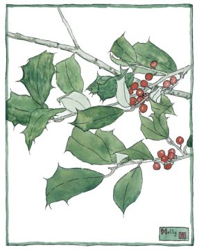 Wednesday Reader December 6