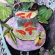 Top of the Morning May 6 | Golden Fishes Matisse