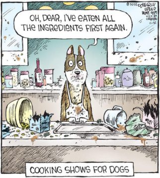 speedbump - cooking Wednesday Reader November 23