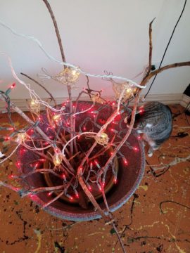 Rubber tree plant