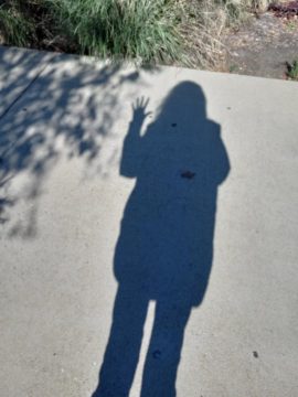 5 For Friday January 27 | Shadow Play