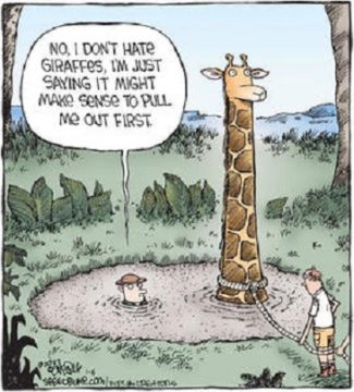 speedbump - giraffe POP Quiz