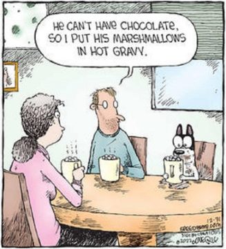 speedbump - hot chocolate