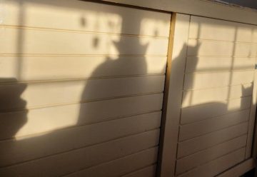 3 cats in a window grabbing some sunshine