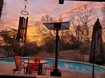 Looking Out To My Backyard