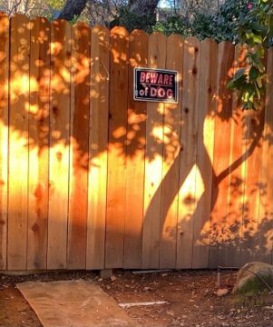 5 For Friday March 3 | Shadow Play Action