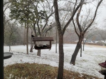 pic now 2a 5 For Friday February 10