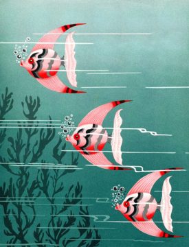 cunardfishDD Wednesday Reader July 5 | Cunard Fish