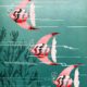 Wednesday Reader July 5 | Cunard Fish