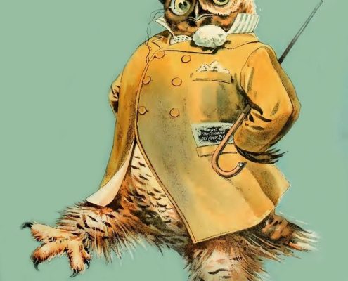 5 For Friday March 24 | owl strutting