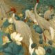 5 For Friday June 30 | Red Billed Birds