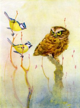 owlyellowbirdDD 5 For Friday April 21 | Owl Yellow Bird