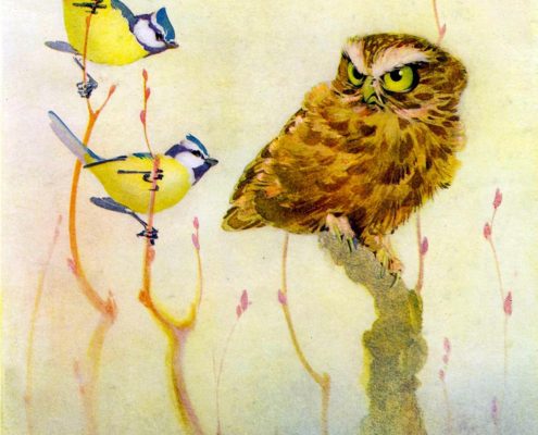 5 For Friday April 21 | Owl Yellow Bird